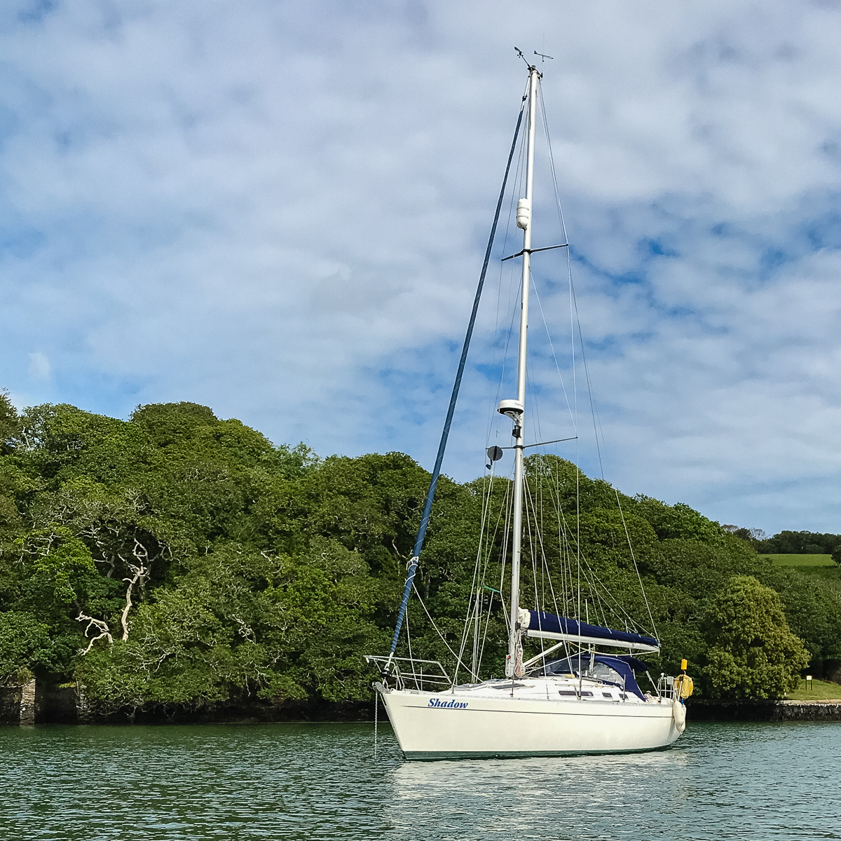 Shadow at Anchor River Fal.jpg