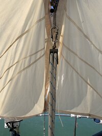 IMG_5921.jpeg